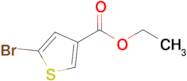 Ethyl 5-bromothiophene-3-carboxylate