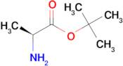 tert-Butyl L-alaninate