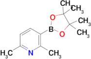 2,6-Dimethyl-3-(4,4,5,5-tetramethyl-1,3,2-dioxaborolan-2-yl)pyridine