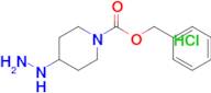 Benzyl 4-hydrazinylpiperidine-1-carboxylate hydrochloride