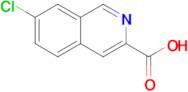 7-Chloroisoquinoline-3-carboxylic acid