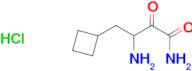 3-Amino-4-cyclobutyl-2-oxobutanamide hydrochloride