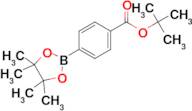 tert-Butyl 4-(4,4,5,5-tetramethyl-1,3,2-dioxaborolan-2-yl)benzoate