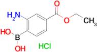 (2-Amino-4-(ethoxycarbonyl)phenyl)boronic acid hydrochloride