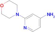 2-Morpholinopyridin-4-amine