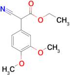 Ethyl 2-cyano-2-(3,4-dimethoxyphenyl)acetate
