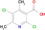 2,5-Dichloro-4,6-dimethylnicotinic acid