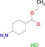 Ethyl 4-aminocyclohexanecarboxylate hydrochloride