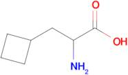 2-Amino-3-cyclobutylpropanoic acid