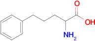 2-Amino-5-phenylpentanoic acid