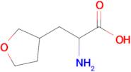 2-Amino-3-(tetrahydrofuran-3-yl)propanoic acid