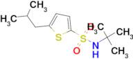 N-(tert-Butyl)-5-isobutylthiophene-2-sulfonamide