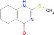 2-(Methylthio)-5,6,7,8-tetrahydroquinazolin-4(3H)-one
