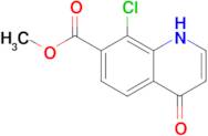 Methyl 8-chloro-4-oxo-1,4-dihydroquinoline-7-carboxylate