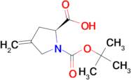 1-Boc-(S)-4-Methylenepyrrolidine-2-carboxylic acid