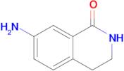 7-Amino-3,4-dihydroisoquinolin-1(2H)-one