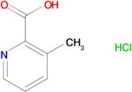 3-Methylpicolinic acid hydrochloride