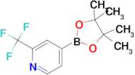 4-(4,4,5,5-Tetramethyl-1,3,2-dioxaborolan-2-yl)-2-(trifluoromethyl)pyridine