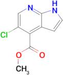 Methyl 5-chloro-1H-pyrrolo[2,3-b]pyridine-4-carboxylate