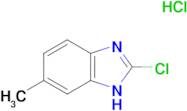 2-Chloro-5-methyl-1H-benzimidazole hydrochloride