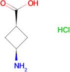 cis-3-Aminocyclobutanecarboxylic acid hydrochloride