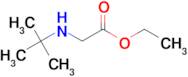 Ethyl 2-(tert-butylamino)acetate