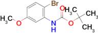 tert-Butyl (2-bromo-5-methoxyphenyl)carbamate