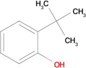2-(tert-Butyl)phenol