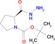 (S)-tert-Butyl 2-(hydrazinecarbonyl)pyrrolidine-1-carboxylate