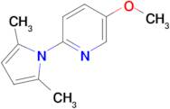 2-(2,5-Dimethyl-1H-pyrrol-1-yl)-5-methoxypyridine