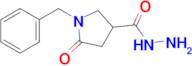 1-Benzyl-5-oxopyrrolidine-3-carbohydrazide