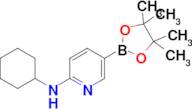 N-Cyclohexyl-5-(4,4,5,5-tetramethyl-1,3,2-dioxaborolan-2-yl)pyridin-2-amine