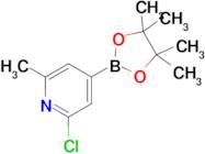 2-Chloro-6-methyl-4-(4,4,5,5-tetramethyl-1,3,2-dioxaborolan-2-yl)pyridine