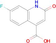 7-Fluoro-2-oxo-1,2-dihydroquinoline-4-carboxylic acid