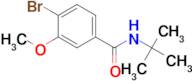 4-Bromo-N-(tert-butyl)-3-methoxybenzamide