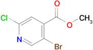 Methyl 5-bromo-2-chloroisonicotinate