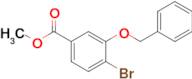 Methyl 3-(benzyloxy)-4-bromobenzoate