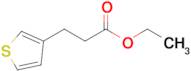 Ethyl 3-(thiophen-3-yl)propanoate