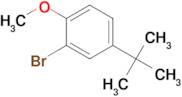 2-Bromo-4-(tert-butyl)-1-methoxybenzene