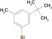 1-Bromo-3-(tert-butyl)-5-methylbenzene