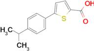 5-(4-Isopropylphenyl)thiophene-2-carboxylic acid