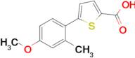 5-(4-Methoxy-2-methylphenyl)thiophene-2-carboxylic acid