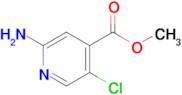 Methyl 2-amino-5-chloroisonicotinate