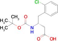 (R)-N-Boc-3-Amino-4-(2-chlorophenyl)butanoic acid