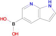 (1H-Pyrrolo[2,3-b]pyridin-5-yl)boronic acid