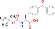 Boc-4-benzoyl-L-phenylalanine