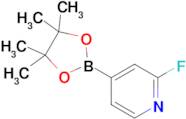 2-Fluoropyridine-4-boronic acid pinacol ester