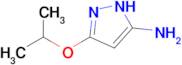 5-Isopropoxy-1H-pyrazol-3-amine