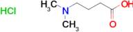 4-Dimethylaminobutyric acid hydrochloride