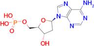 5'-Adenylic acid, 2'-deoxy-